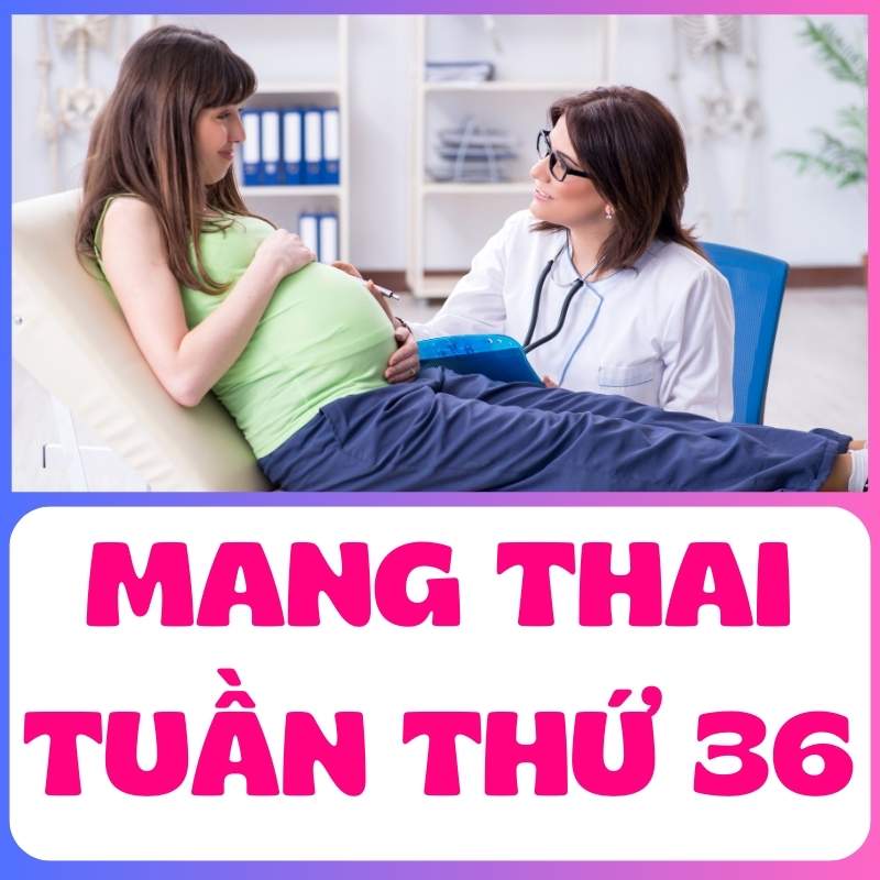 Mẹ bầu khám bác sĩ khi mang thai tuần thứ 36